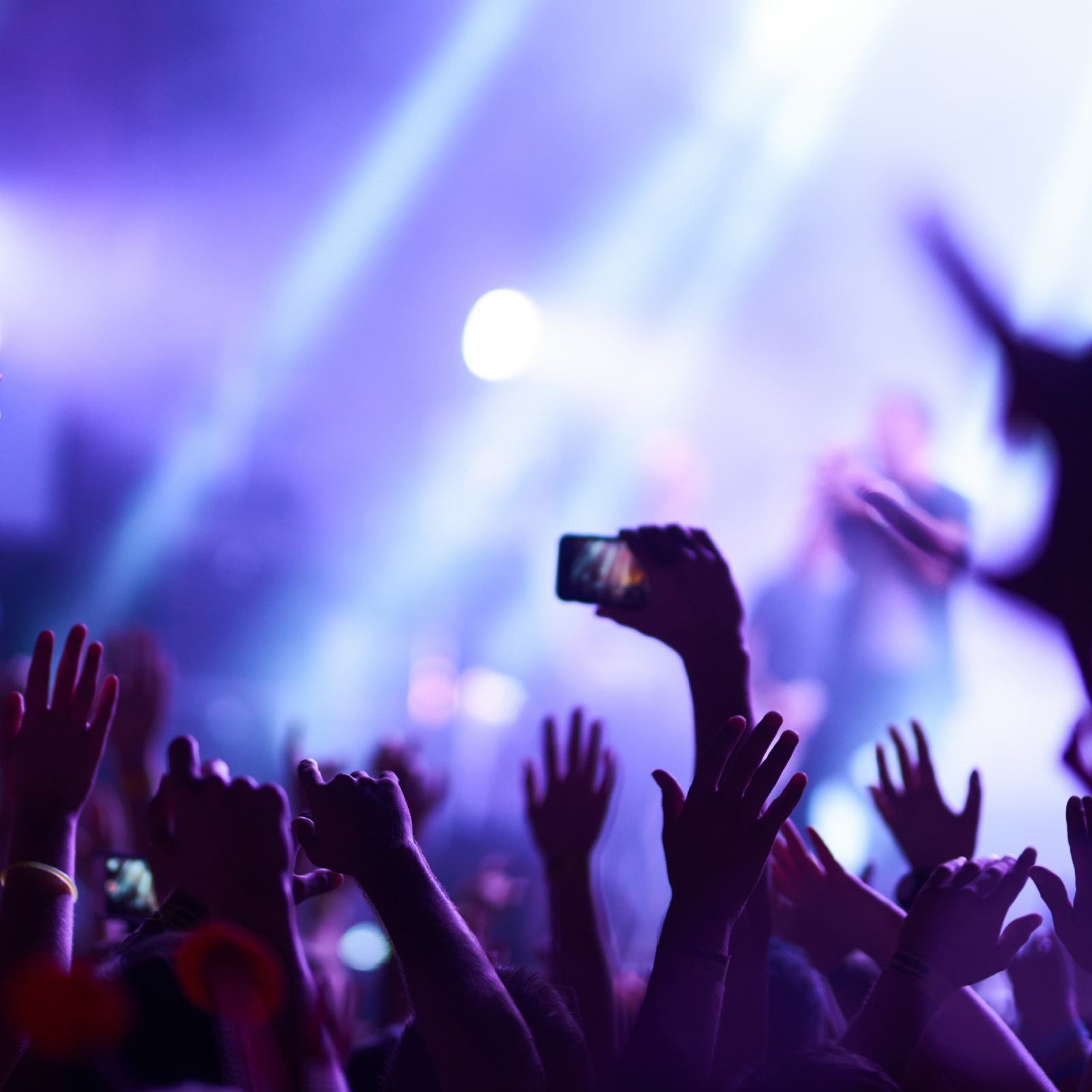 Lisää asiakkaitamme - Mint Company - Markkinointiviestintätoimisto